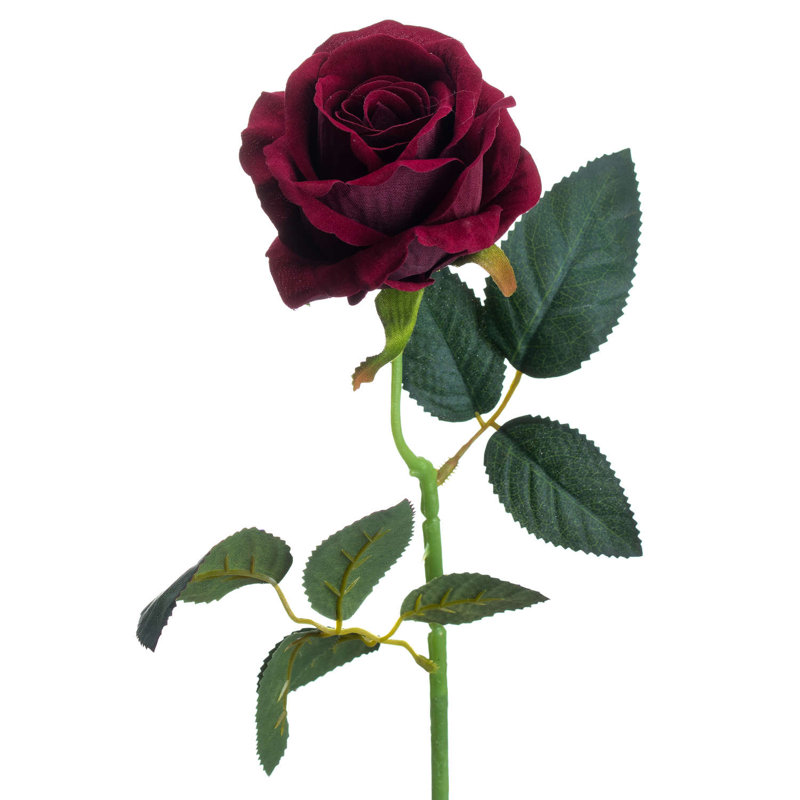 Anastasija Arrangement
