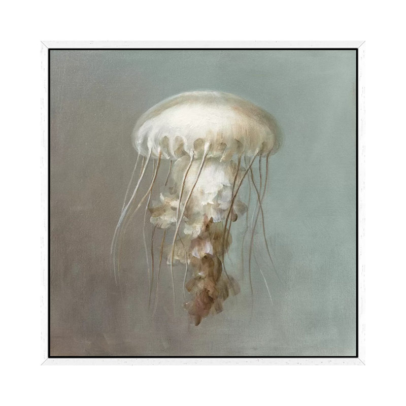 Treasures from the Sea VI 1 Piece Wall Art on Canvas, 45.72 cm H x 45.72 cm W, White Framed