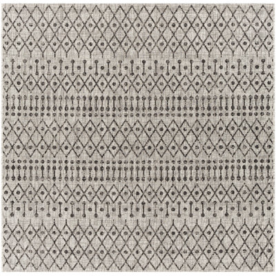 Hongming Indoor / Outdoor Rug