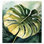 Papier peint de qualité supérieure - feuille de Monstara tropical
