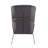 Velvet Upholstered Accent Chair with Gold Chrome Legs-341287054