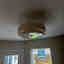 Customer photo 2 of 2