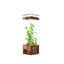 Aquarium 28,35 po-2104522075-2104522077