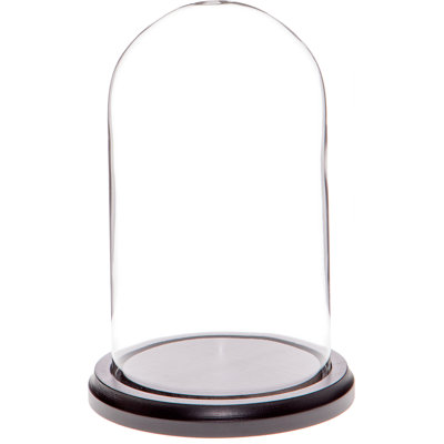Cloche en verre 4 "x 7" Jenett