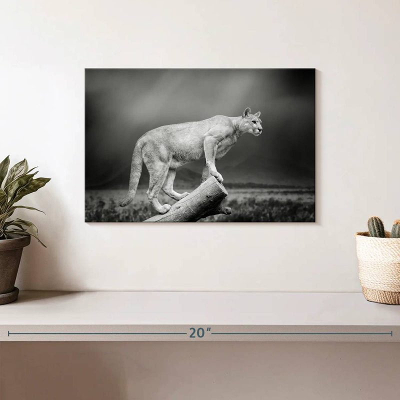 Crowle Dramatic Cougar, 8" H x 12" W