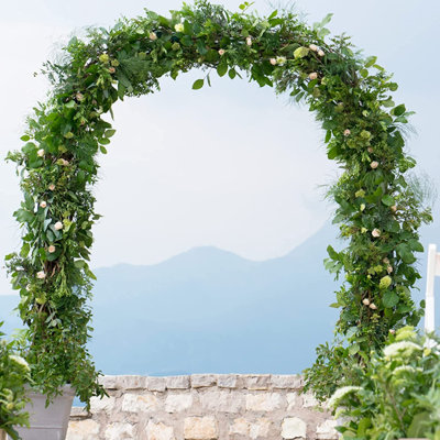 Mirabai 94'' H x 55'' W Steel Arched Trellis