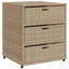 Garden Storage Cabinet 55X59x69 Cm Poly Rattan-817453250
