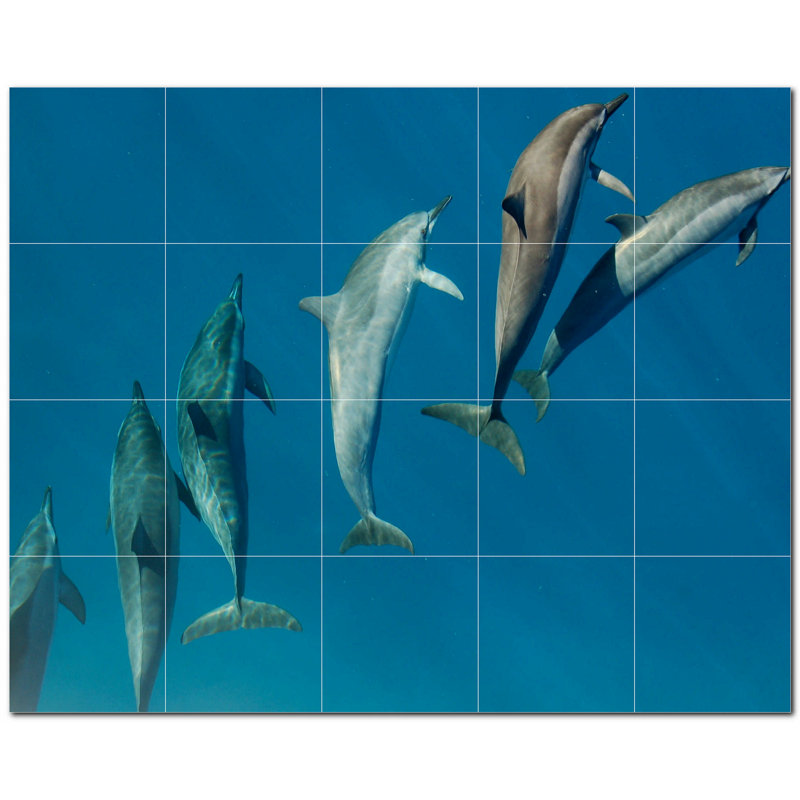 Murale en céramique 8 "x 8" Dolphin Photo
