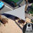 Triangle Shade Sail-91150488-91150469