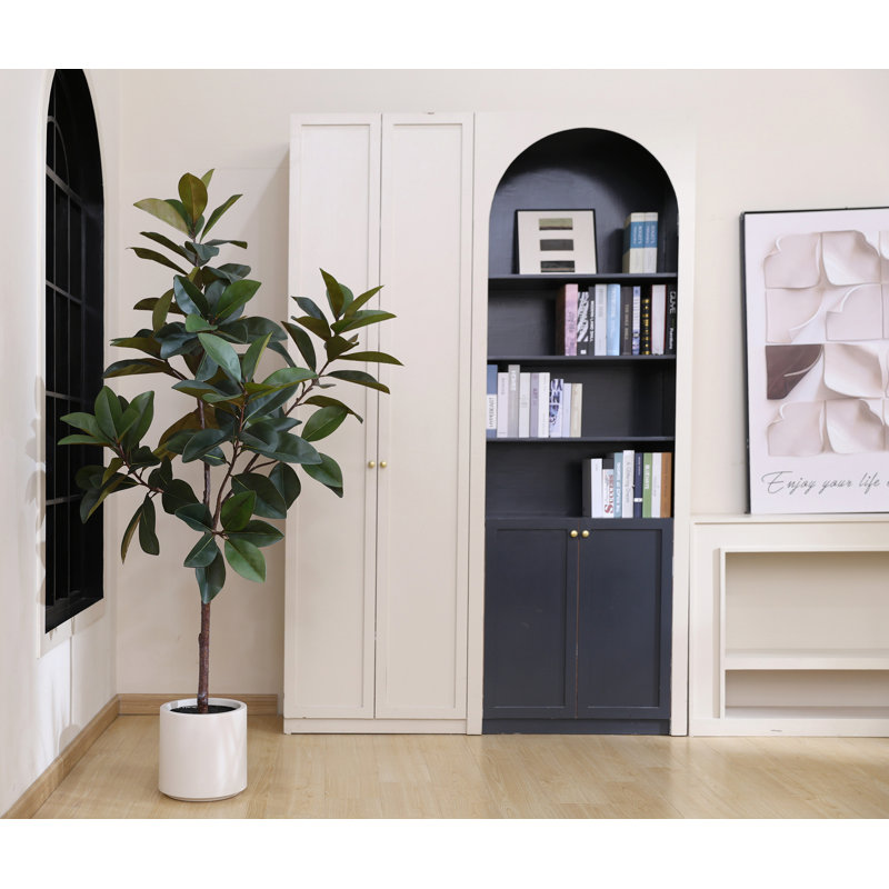 Arbre de magnolia 70 po