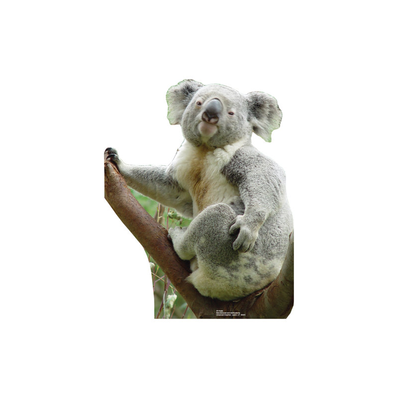 Animals 28'' Animals Cardboard Standup