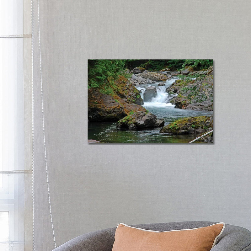 Salmon Cascades 1 Piece Wrapped Canvas Wall Art