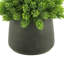 Faux Succulent in Fiberstone Pot-1601367876