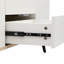 Ensemble de 5 tables basses avec rangement et repose-pieds Kanette -1652531058-1652531059