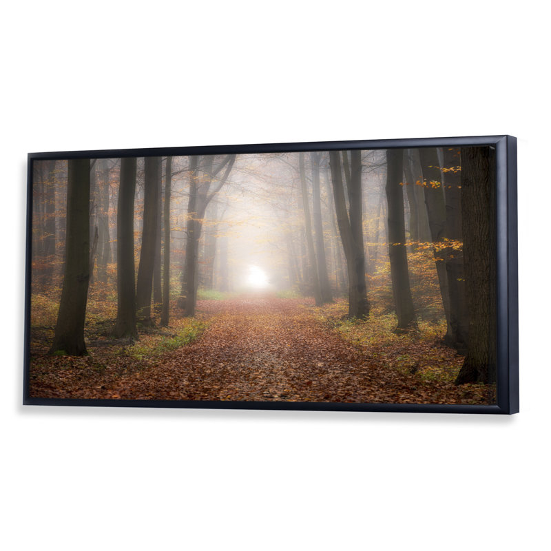 " Forest Road Autumn Trees Foggy ", Black Framed, 12" H x 20" W x 1" D