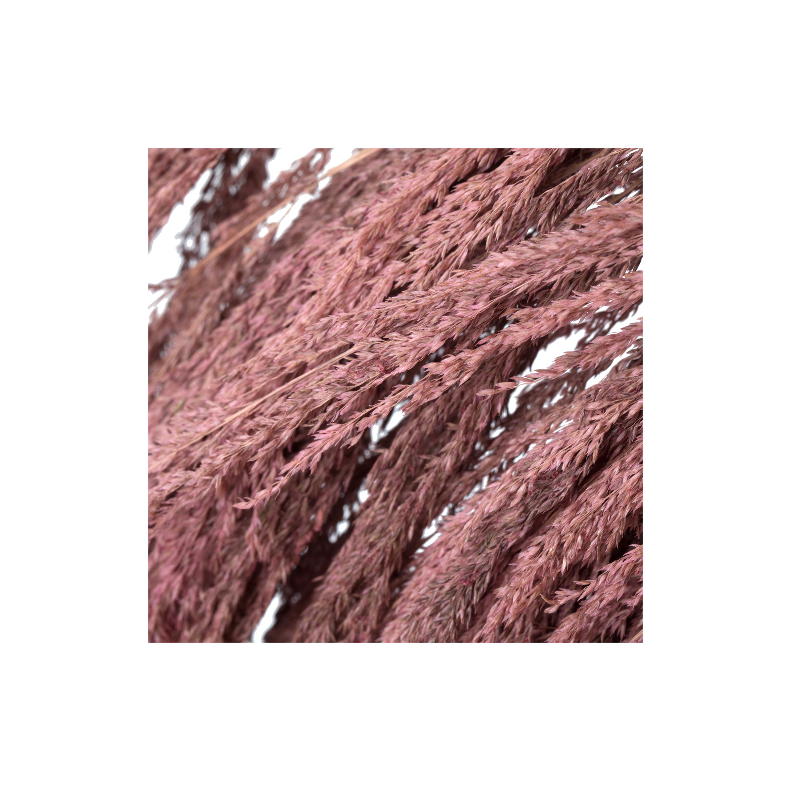 Lei 71'' Palm Plant, Dusty Rose