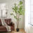 240CMARTIFICIAL PIERIS TREE-1103347055