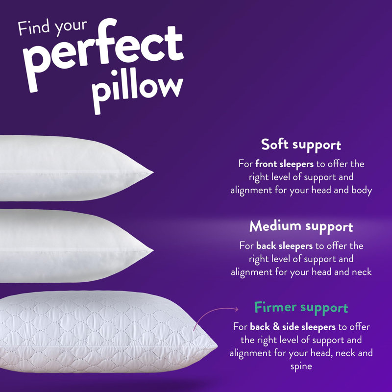 Cavalli L70 x W30cm Support Pillow