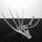 Clear Antlers (Set of 2)