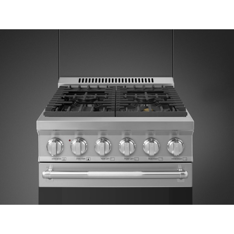 24" Professional Gas Range, Silver