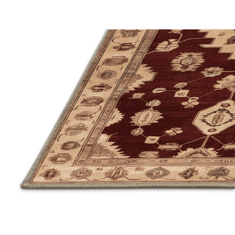Machine Washable Overdyed Brown Area Rug, Rectangle 2' x 3'