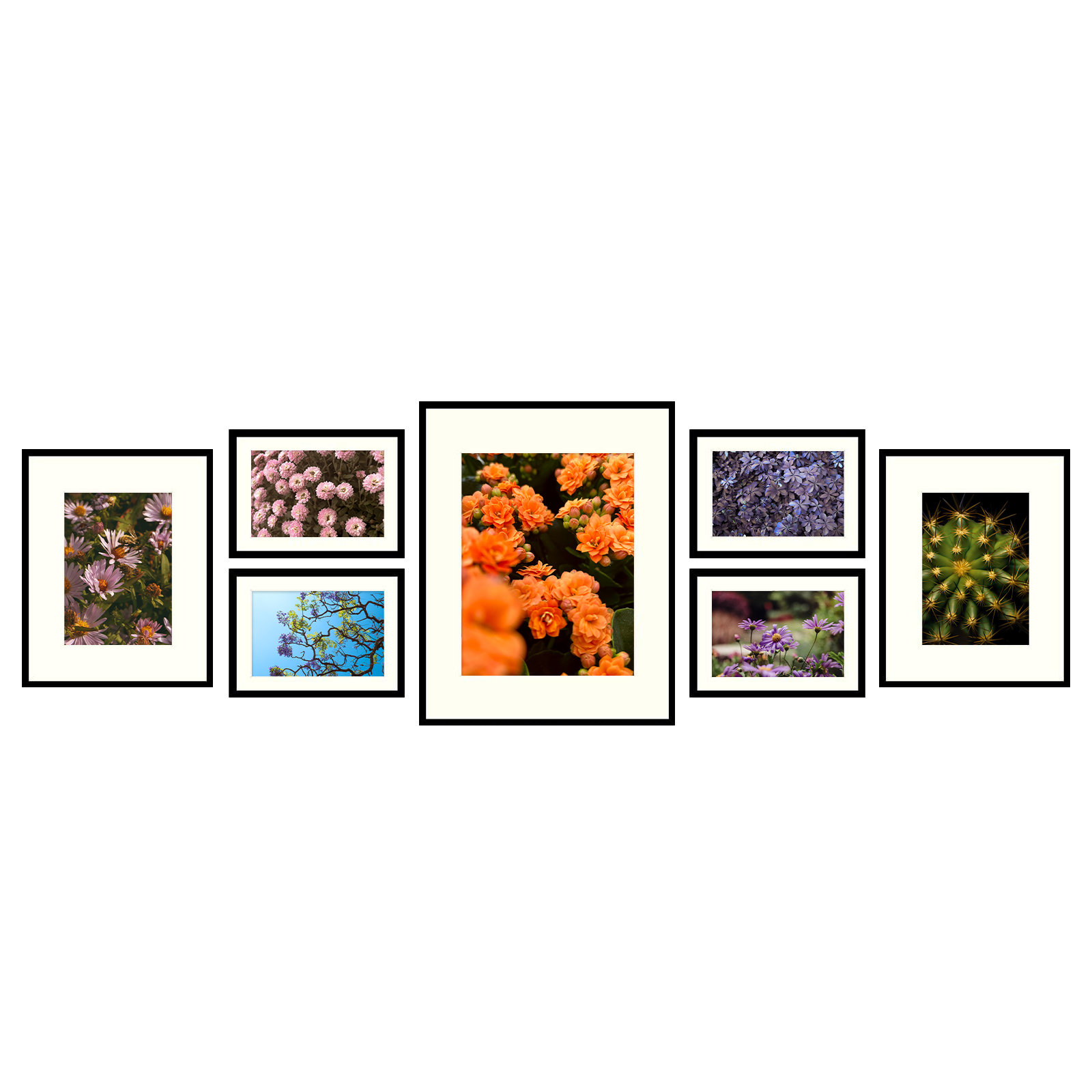 andover-mills-bevill-7-piece-gallery-wall-frame-four-5x7-two-8x10