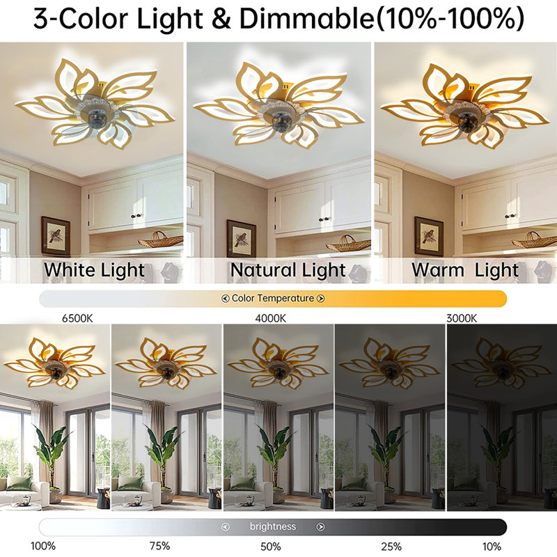 Ceiling Fan with LED Lights