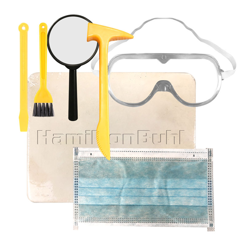 Mammoth Rex Paleontology Dig Kit with Tools for STEAM Education
