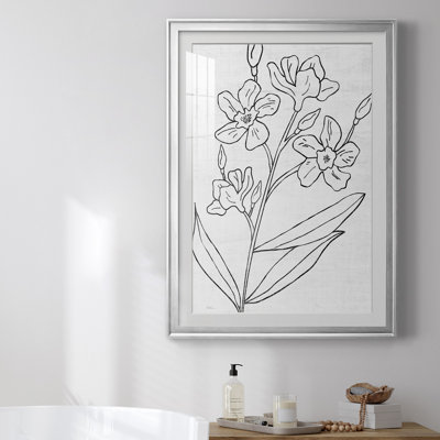 Botanical S croquis I, reproduction encadrée de qualité supérieure - prête à être accrochée