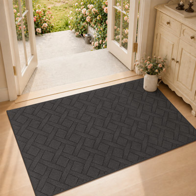 Dioselina Non-Slip Indoor Doormat