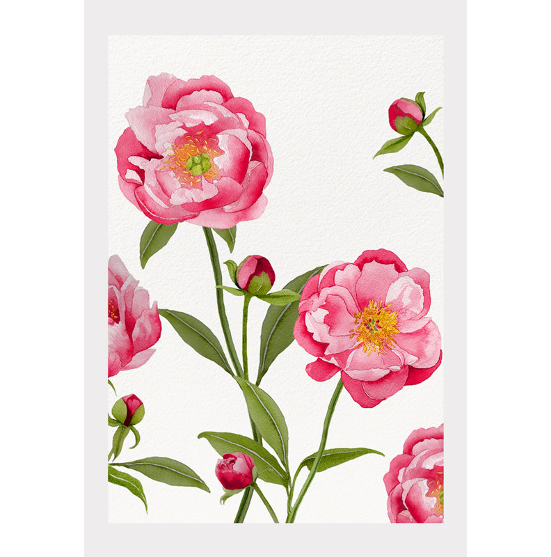 Reproduction d'art: pivoines sur crème, H 11 po x l 8,5 po