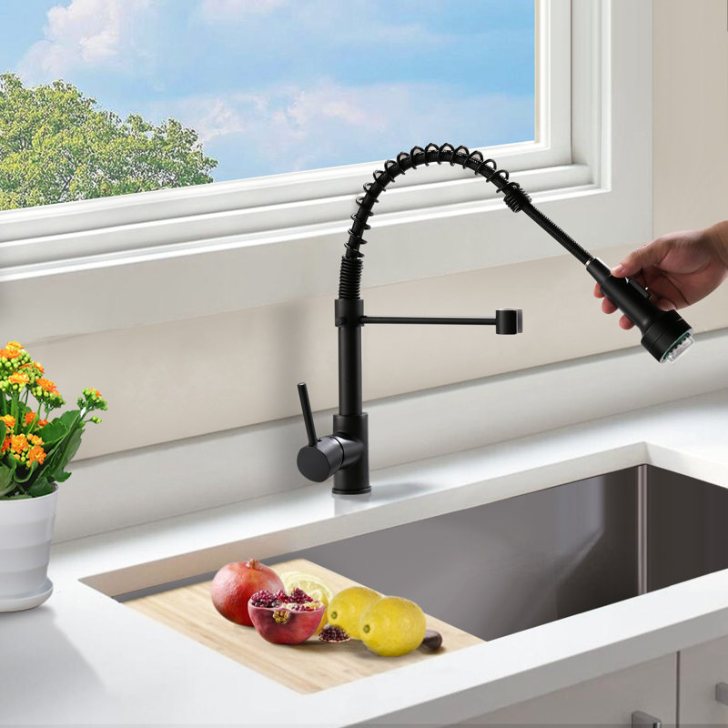 Topcraft Single-Handle Single-Hole Kitchen Faucet