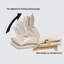 Méridienne inclinable simple avec repose-pieds et repose-pieds ergonomique-584190371