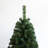 Lighted Christmas Tree