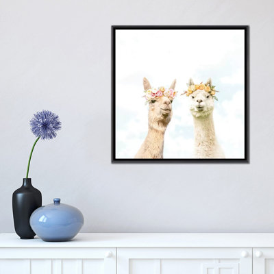 " Alpacas in Bloom "