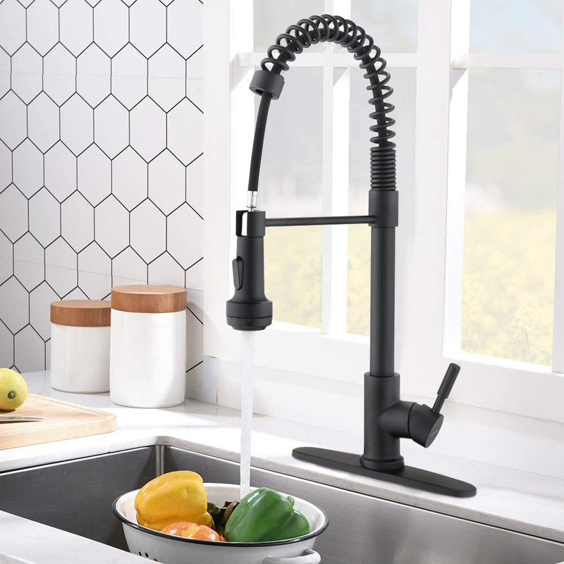 KARWORS Kitchen Faucet, Matte Black