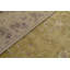 Floral Area Rug in Tan