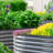 Roede Metal Raised Garden Bed-1853180166-1839000995