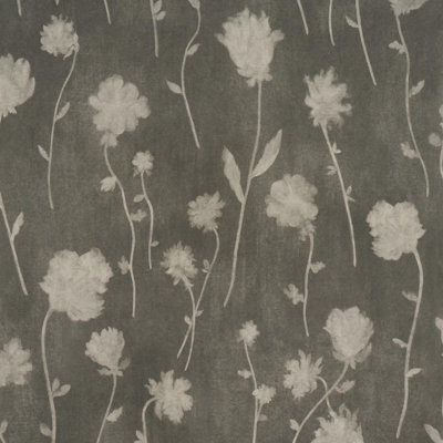 Schumacher X Backdrop Before Midnight Wallpaper