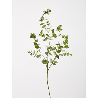 76cm Eucalyptus Branch