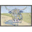 Shaggy Bull by Eyre Tarney - Single Picture Frame Painting-151563744