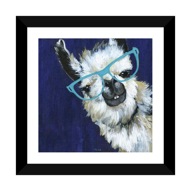 Gentleman Llama - reproduction d'art, Blanc, H 16 po x l 16 po x p 1 po, Papier encadré noir