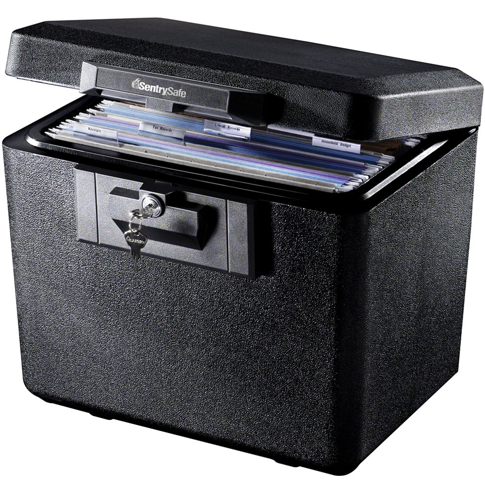 SentrySafe 0.61 Cu. Ft. Fireproof Hanging File Safe | Wayfair