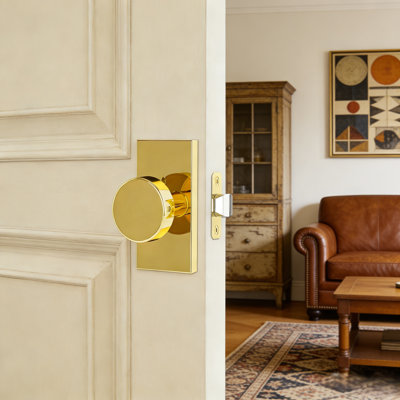 Coolnews Modern Grace Series Metal Passage Door Knobs