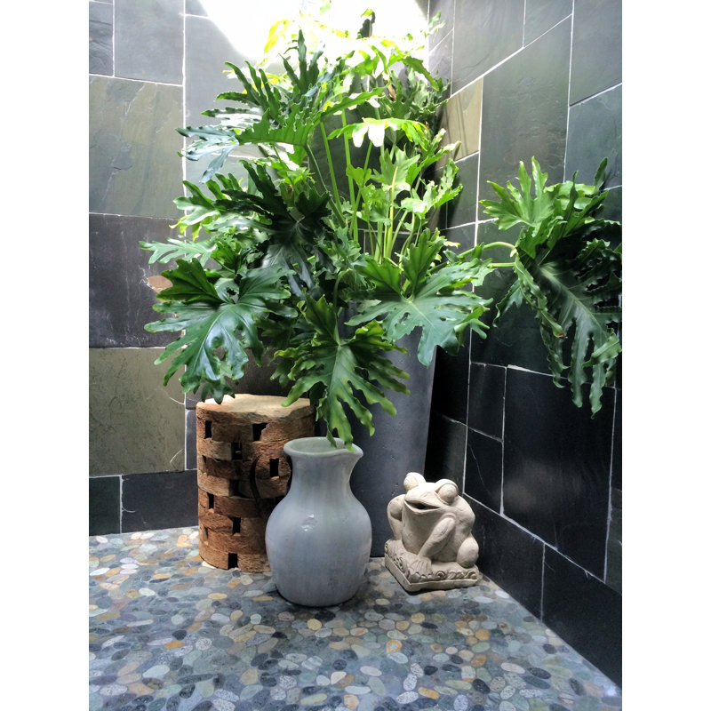 Nile Ocean Natural Stone Mosaic Tile Smooth Pebble Matte Finish Indoor Use Waterproof 1 Sq. Ft