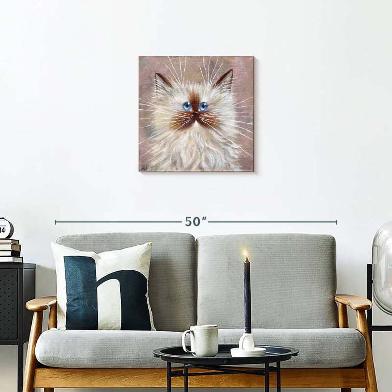 Chaton Brampt Seal Point, H 20 po x l 20 po