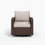 Wicker Outdoor Lounge Chair with Cushions-1922552135