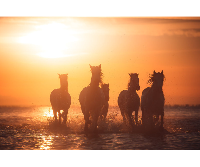 Wrapped Canvas Print, 81.28 cm H x 121.92 cm W
