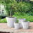 Pot Planter