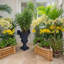 Filtres à urne d'intérieur-830598798-807922636
